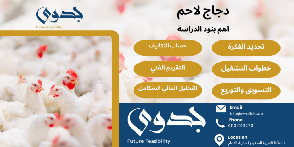 دراسة جدوى مزرعة دجاج | فكرة مشروع تربية وإنتاج الدواجن