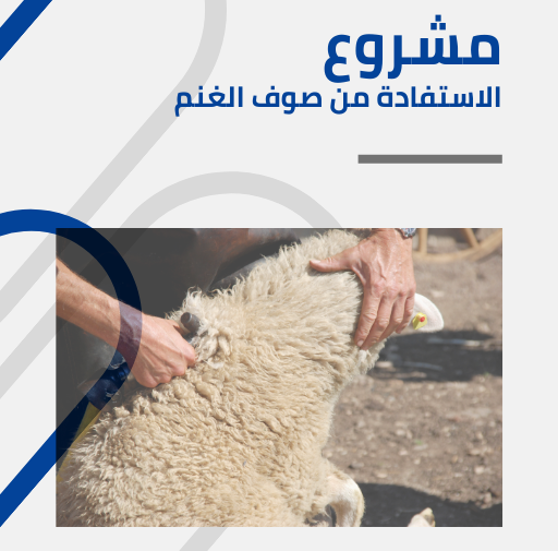 دراسة جدوى